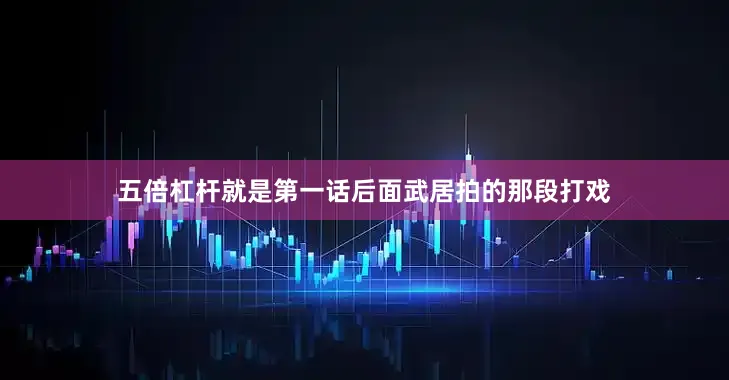 五倍杠杆就是第一话后面武居拍的那段打戏