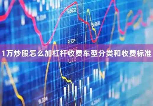 1万炒股怎么加杠杆收费车型分类和收费标准
