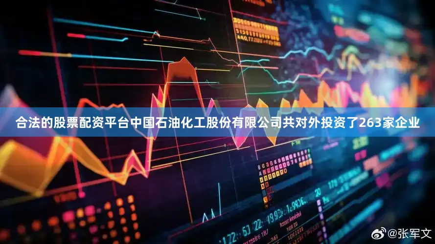 合法的股票配资平台中国石油化工股份有限公司共对外投资了263家企业