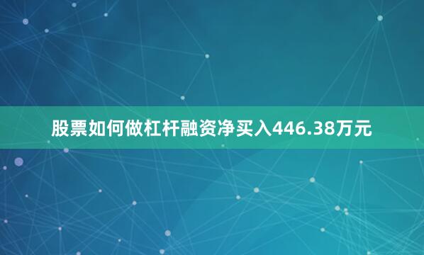 股票如何做杠杆融资净买入446.38万元