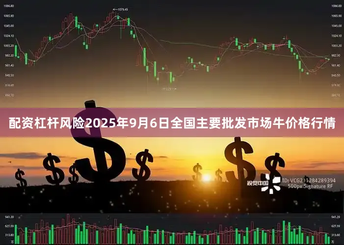 配资杠杆风险2025年9月6日全国主要批发市场牛价格行情